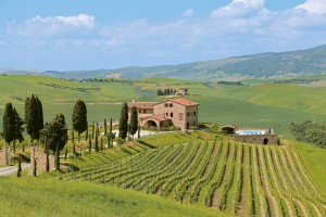 Podere Marcampo Agriturismo e Azienda Agricola Toscana Volterra