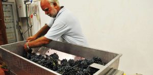 Podere Marcampo L'Italoamericano