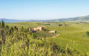 Podere Marcampo è l’esempio di come vincere una sfida data per persa