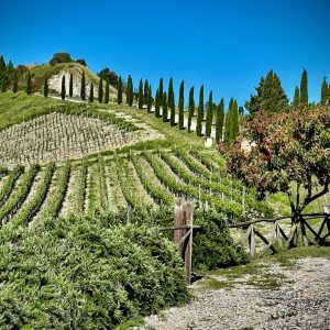 “Podere Marcampo” focus sul Merlot in una vertical tasting dal 2006 al 2017.