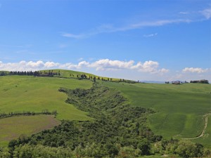 Podere Marcampo Azienda Agricola Toscana Volterra